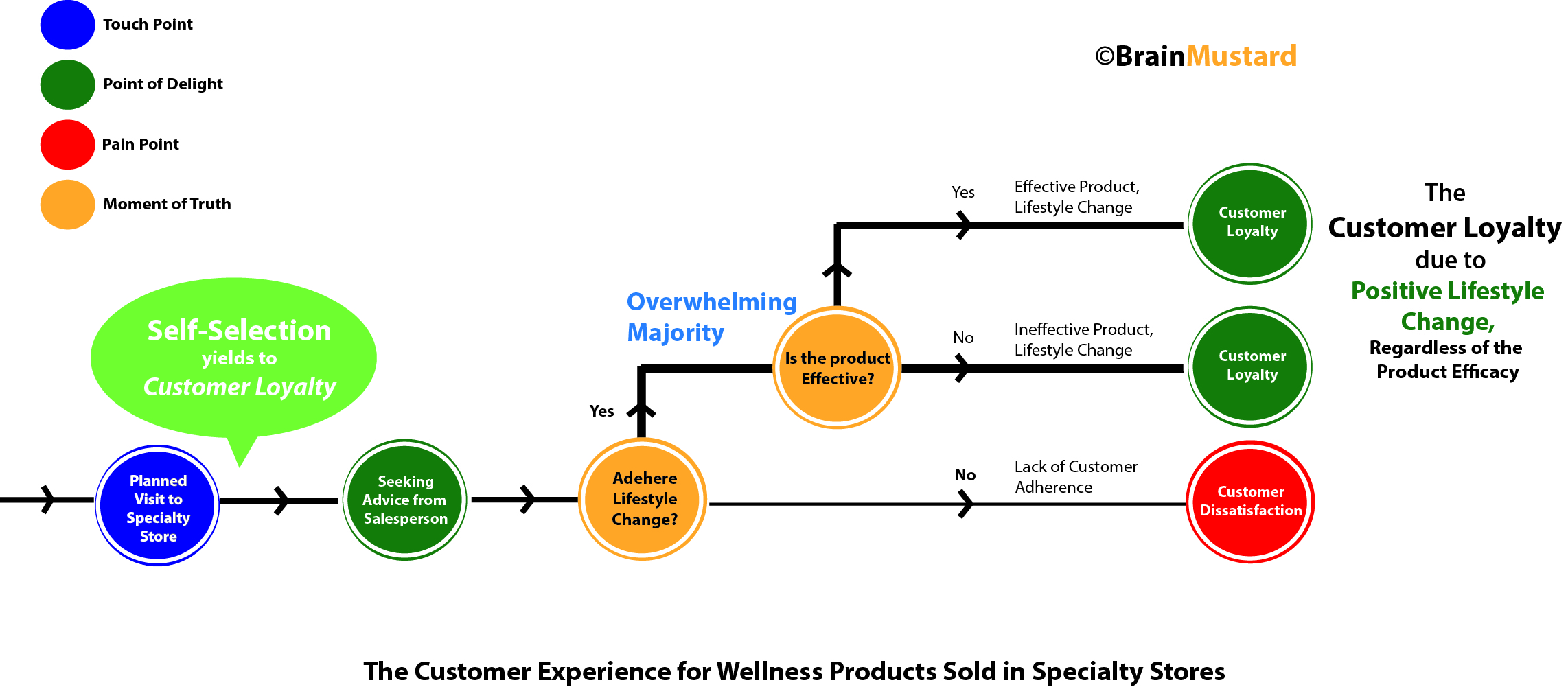 The Customer Experience Map for Specialty Wellness Stores